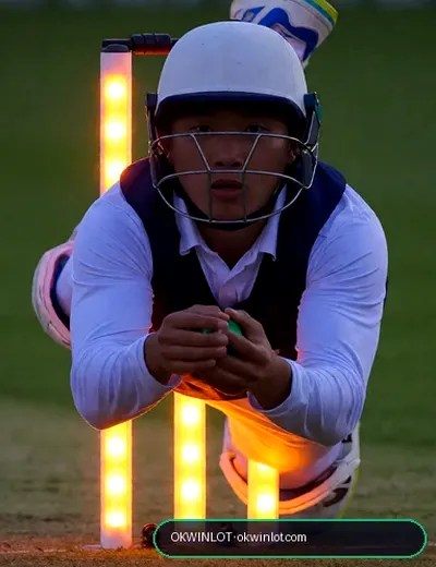 Okwinlot (ok win lottery) fantasy cricket & matchday visual 3